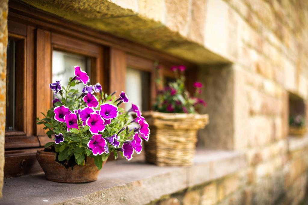 Willa Casavieja Rural Abiada Zewnętrze zdjęcie